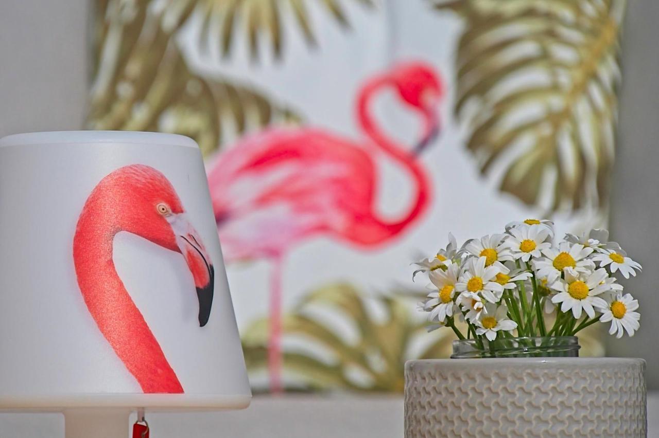 Villa Flamingo Kaštelir 外观 照片