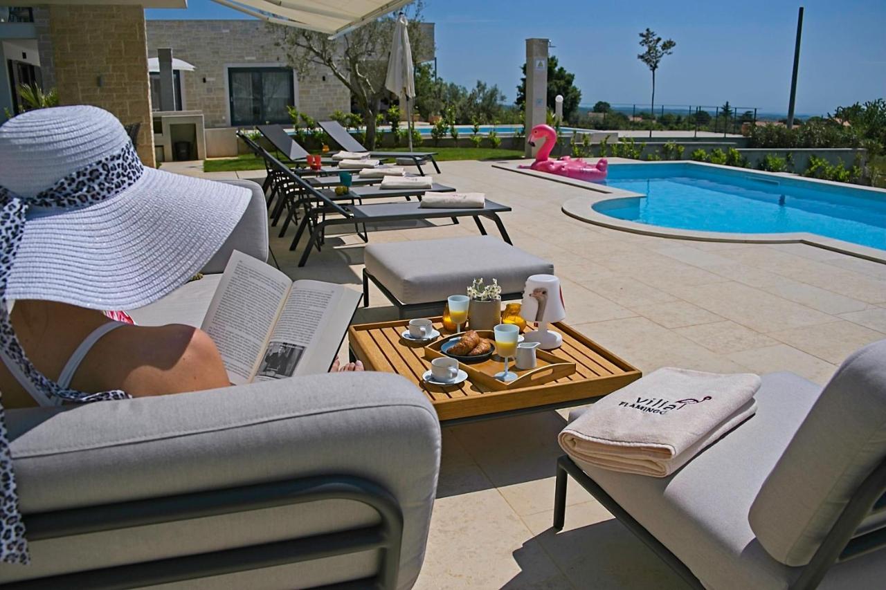 Villa Flamingo Kaštelir 外观 照片